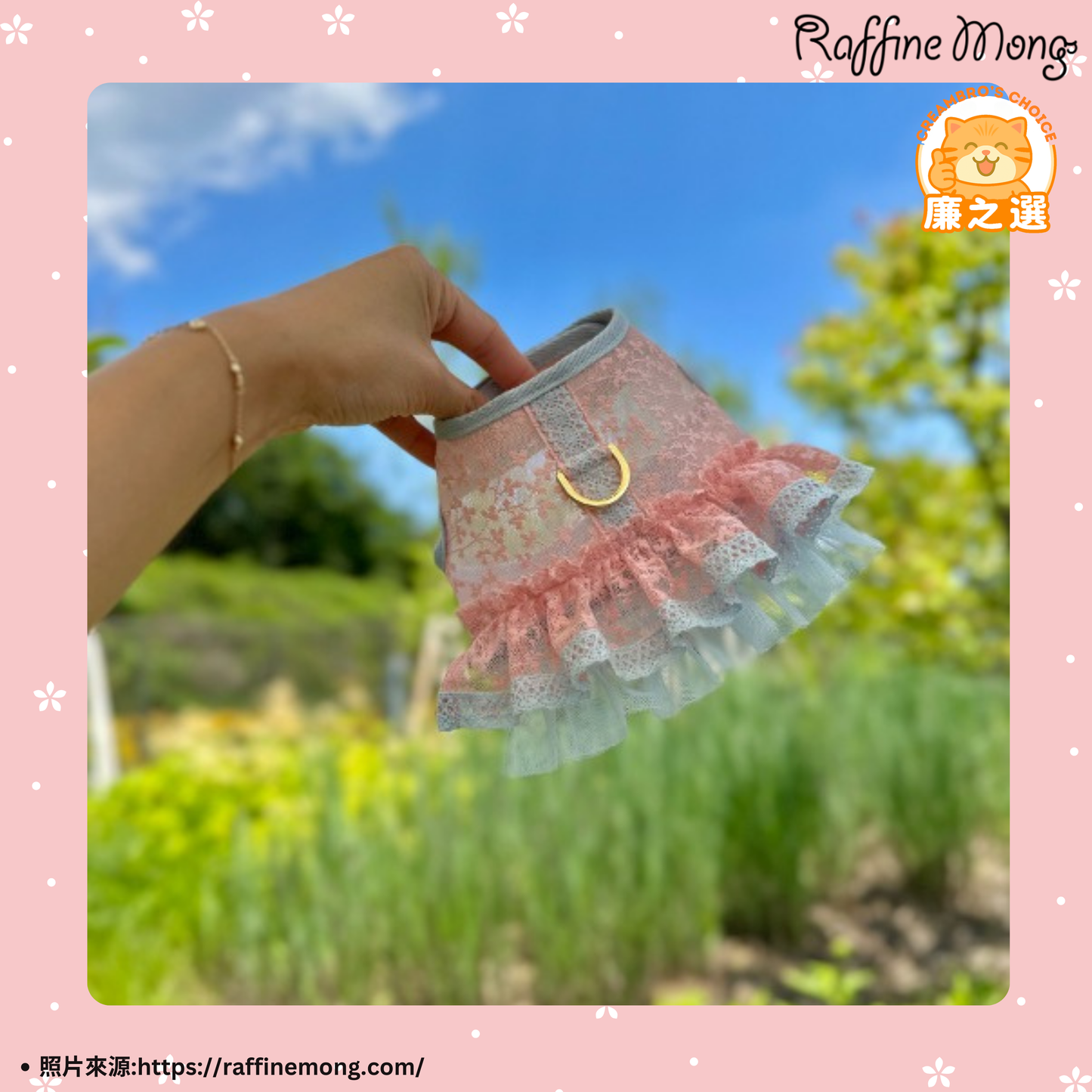 韓國碎花薄紗狗狗胸背裙