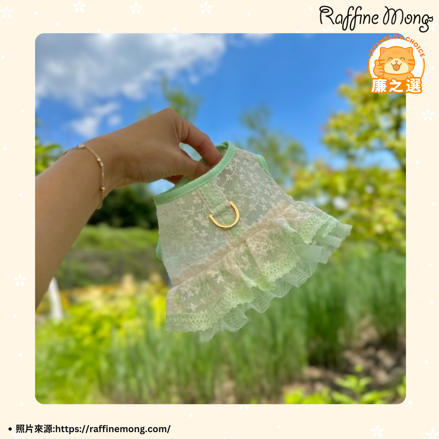 韓國碎花薄紗狗狗胸背裙