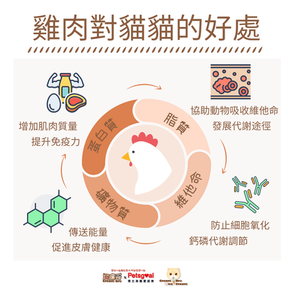 無穀物凍乾脫水天然肉粒(雞肉粒/鴨肉粒/三文魚粒)